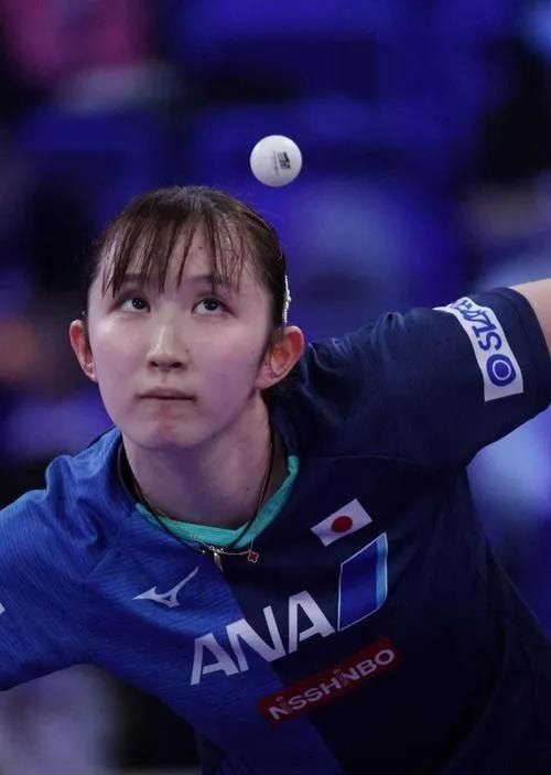 塔图姆与波 塔图姆与波