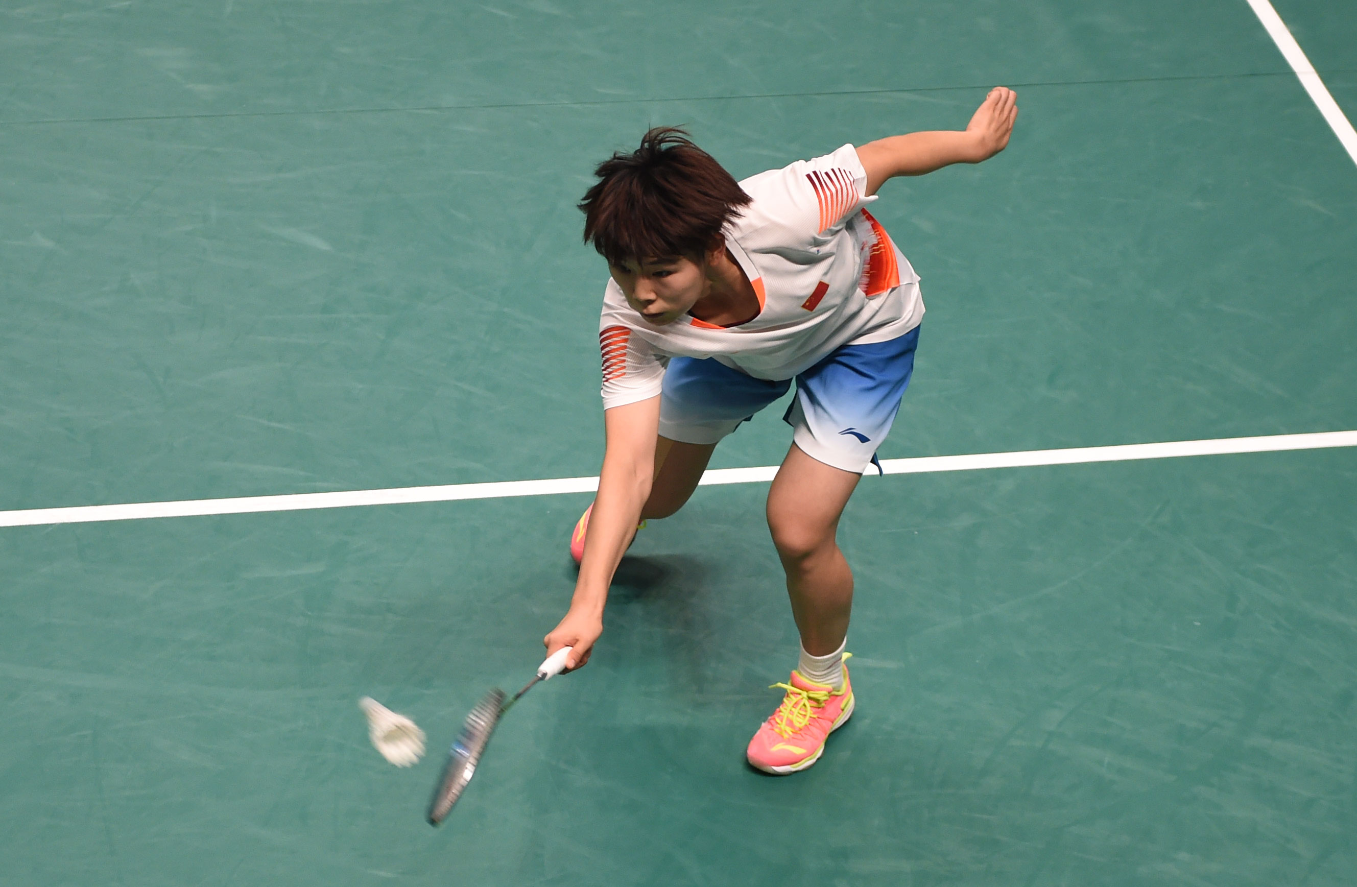 选择低平快 选择低平快