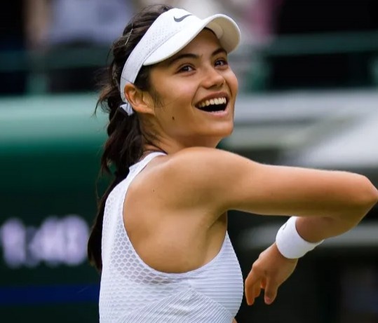 主题可以概 主题可以概